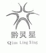 黔灵星