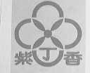 紫丁香