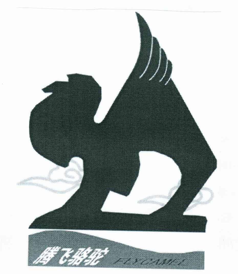 腾飞骆驼;FLYCAMEL