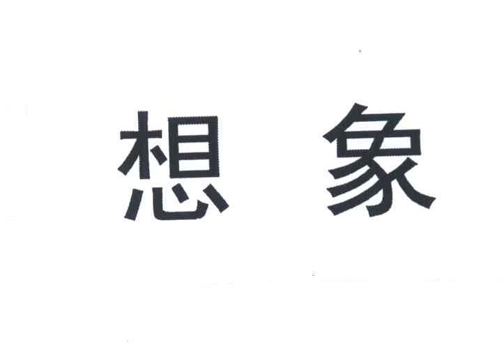 想象