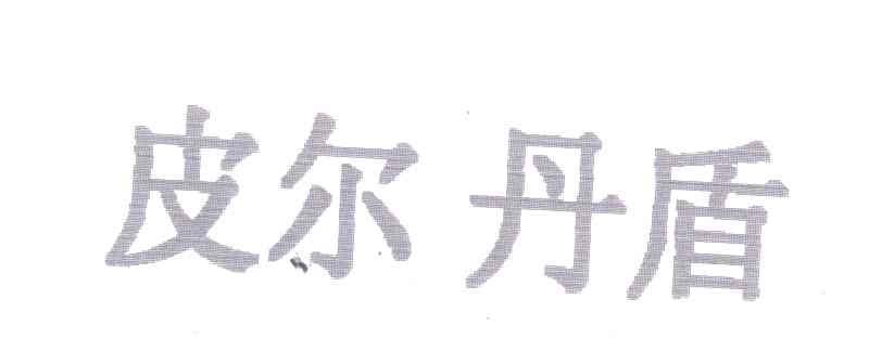 皮尔丹盾