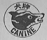 犬