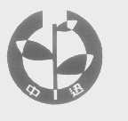 中迅