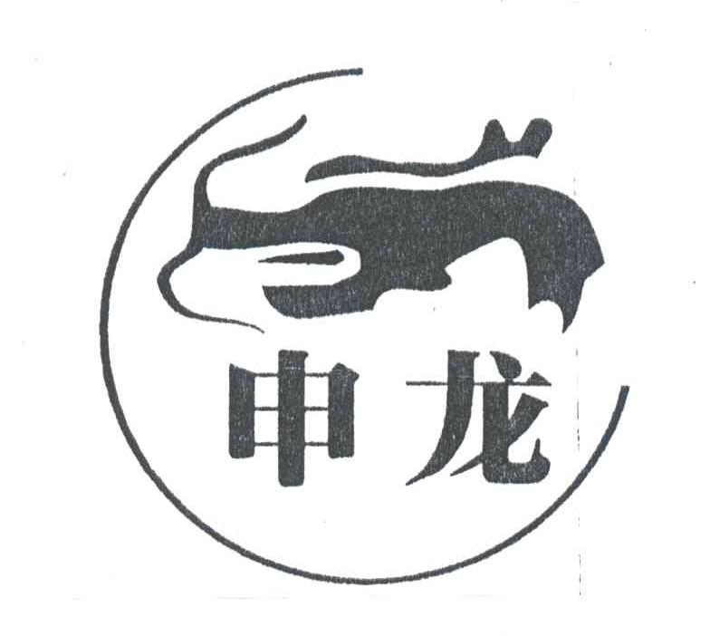 申龙
