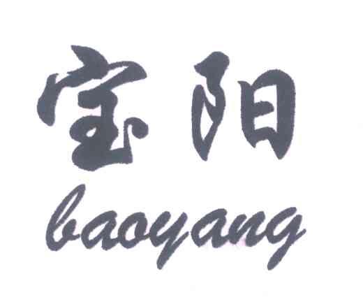 宝阳 BAO YANG