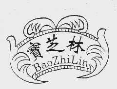 宝芝林