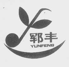 郓丰