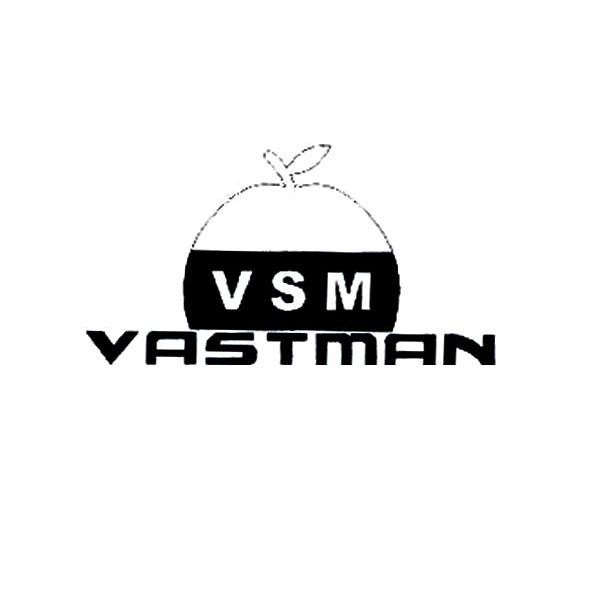 VSM VASTMAN