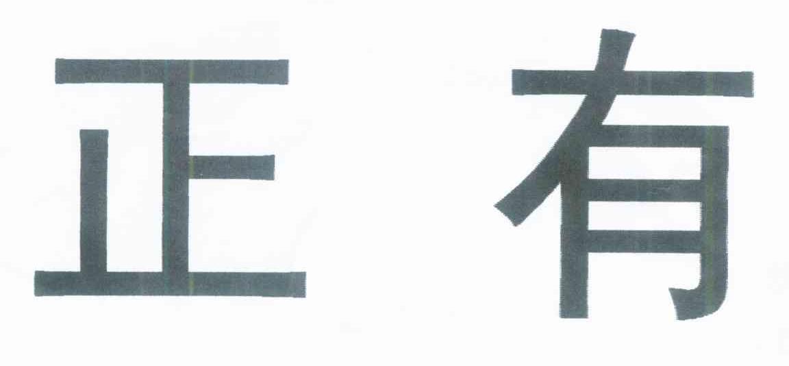 正有