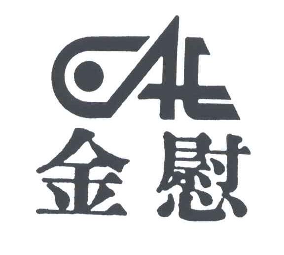 金慰;CAE