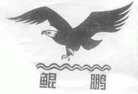 鲲鹏