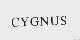 CYGNUS