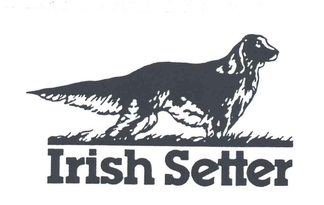 IRISH SETTER