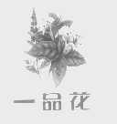一品花