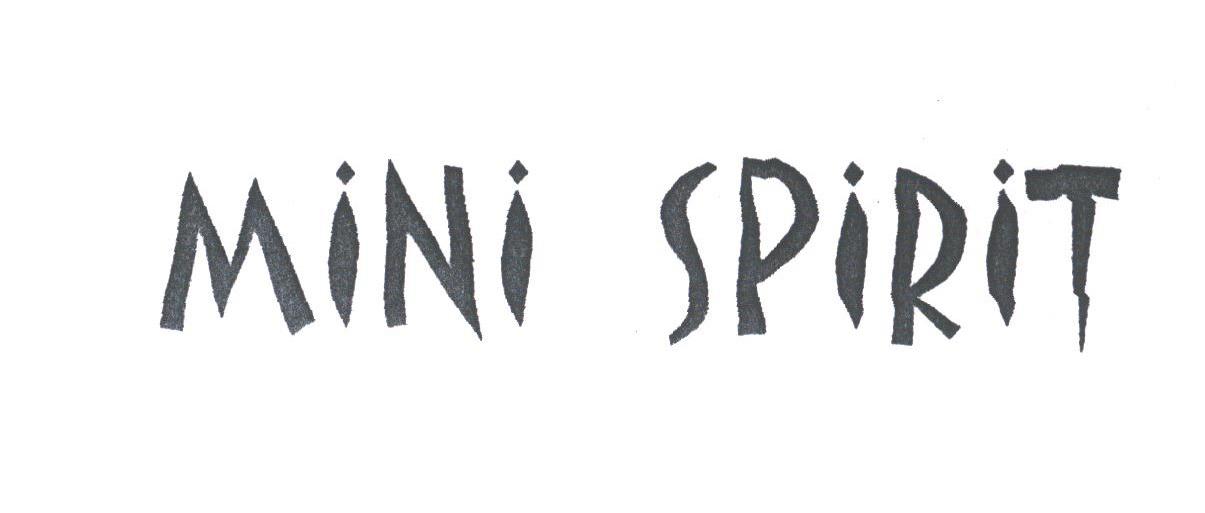 MINI SPIRIT
