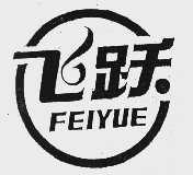 飞跃
