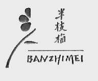 半枝梅