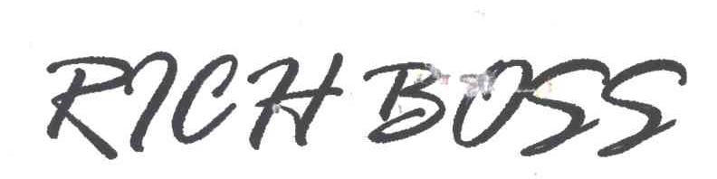 RICH BOSS