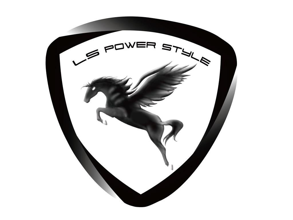 LS POWER STYLE