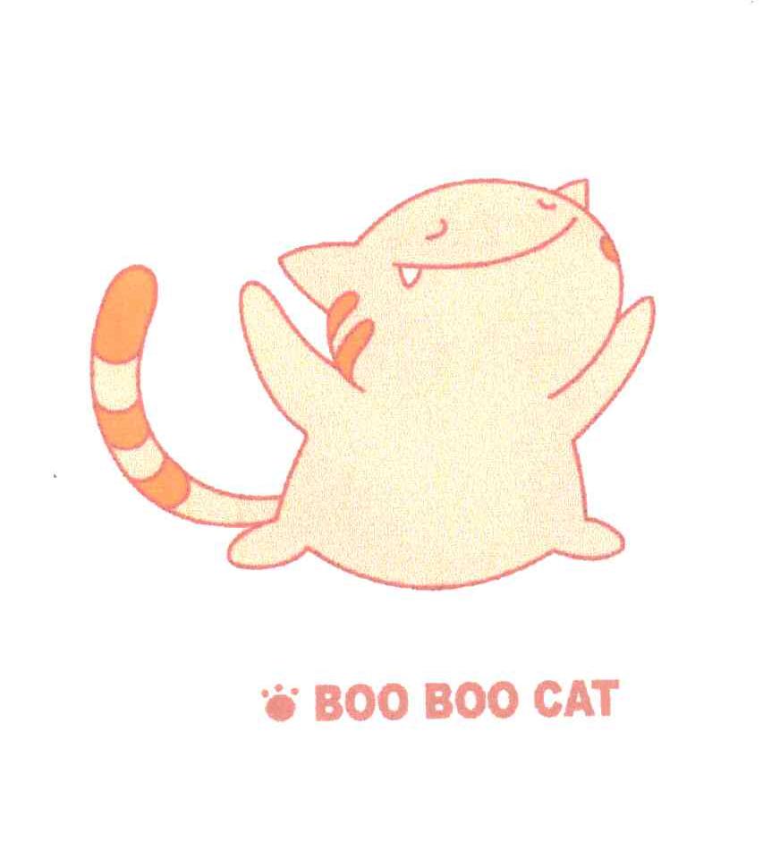 BOO BOO CAT