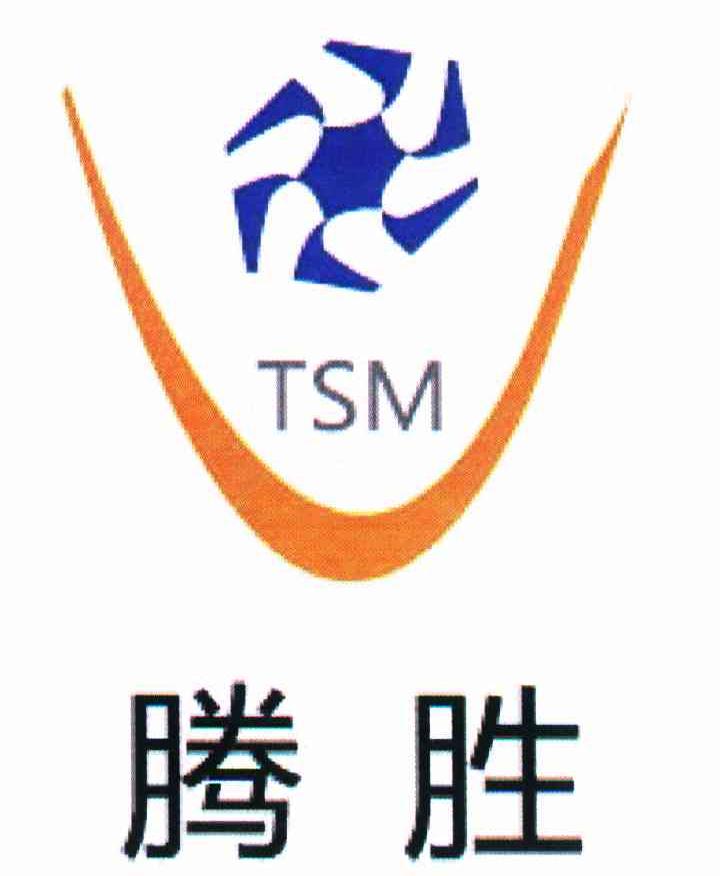 腾胜 TSM