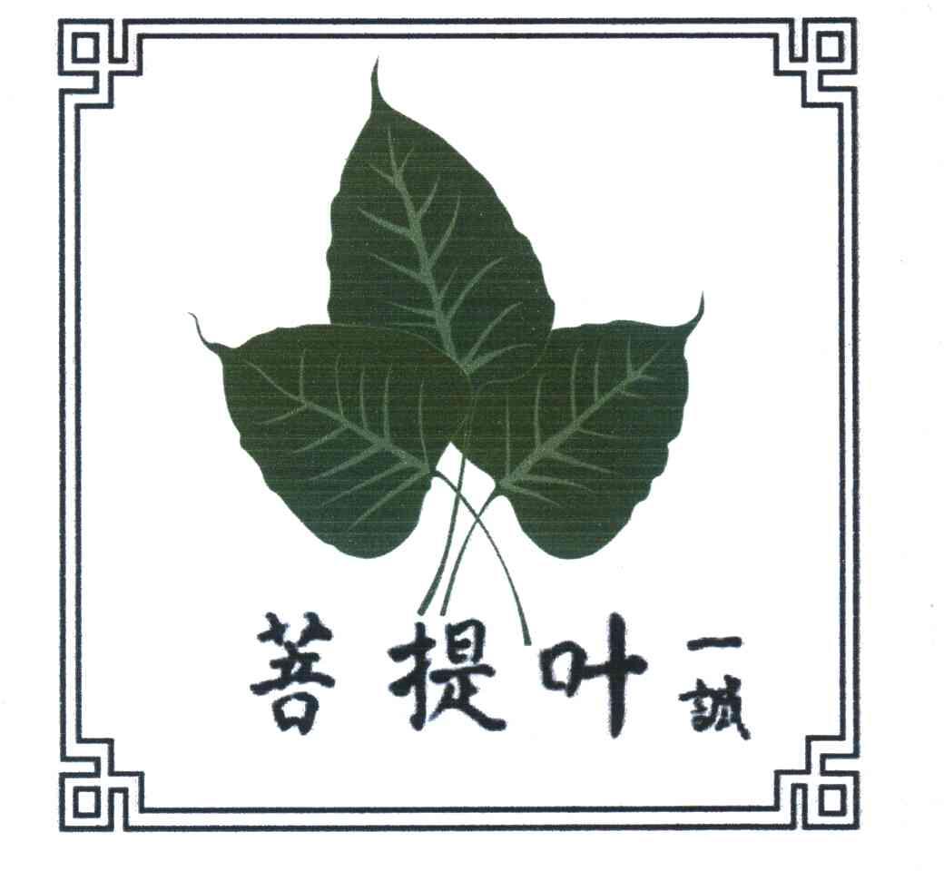 菩提叶一诚