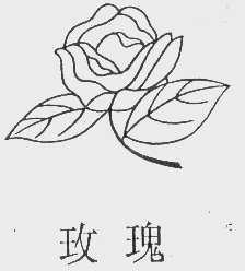 玫瑰