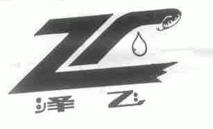 泽飞