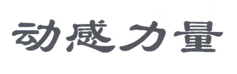 动感力量