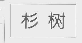 杉树