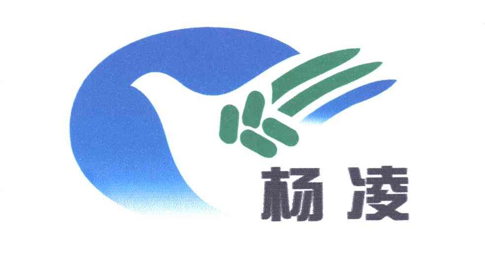 杨凌