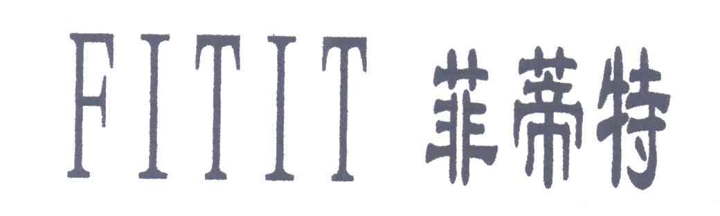 菲蒂特;FITIT