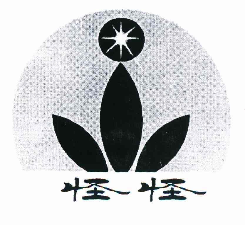 怪怪
