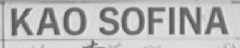 KAO SOFINA