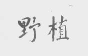 野植