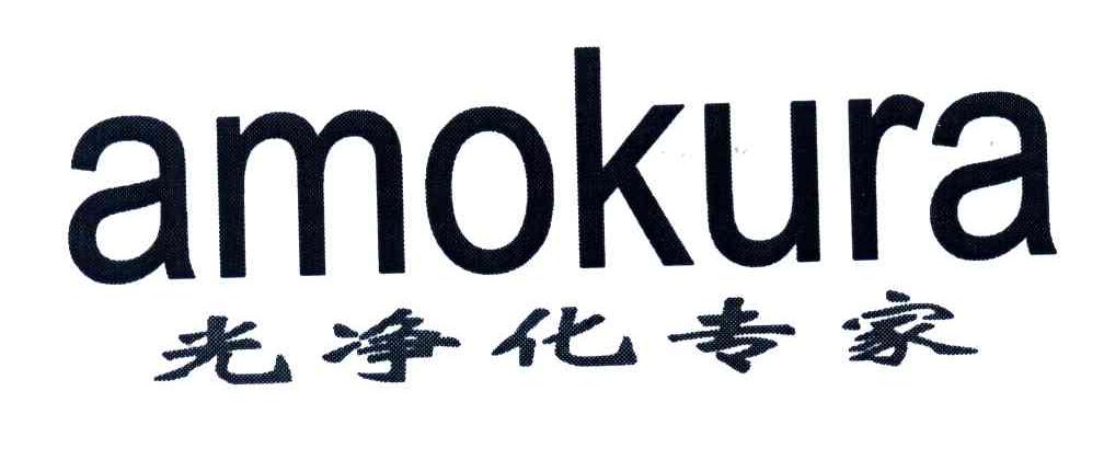 光净化专家;AMOKURA
