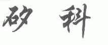 矽科