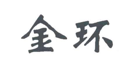 金环