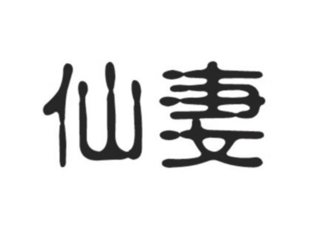 仙妻