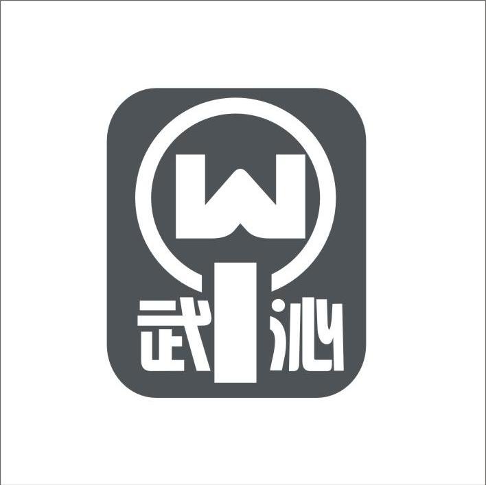 武沁 W