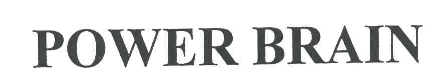 POWER BRAIN
