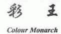 彩王;COLOUR MONARCH