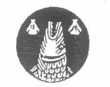 顶峰
