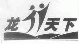 龙行天下