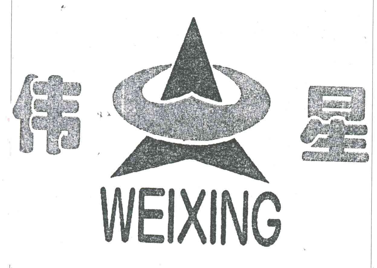 伟星;WEI XING