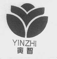 寅智