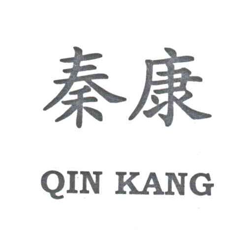 秦康