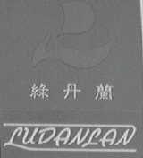 绿丹兰    LUDANCAN