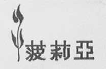菠莉亚