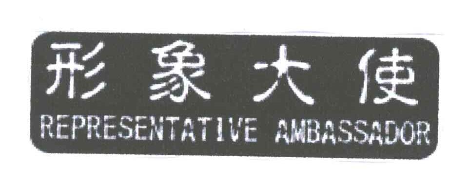 形象大使;REPRESENTATIVE AMBASSADOR